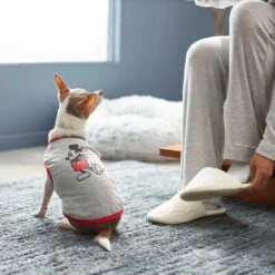 Disney Mickey Mouse & Minnie Mouse "Sweet As Can Be" Reversible Dog & Cat Bandana -Pet Cat Supplies Store 220293 PT7. AC SS1800 V1633126030