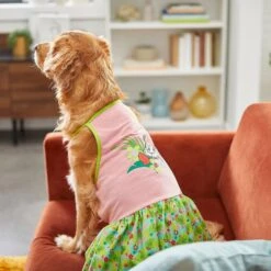 Disney Minnie Mouse Hawaiian Dog & Cat Dress -Pet Cat Supplies Store 220331 PT5. AC SS1800 V1644266782