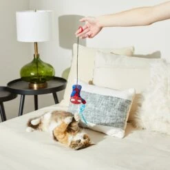 Marvel 's Spider-Man Bouncy Cat Toy With Catnip 5 Marvel 's Spider-Man Bouncy Cat Toy With Catnip -Pet Cat Supplies Store 220882 PT3. AC SS1800 V1621383267