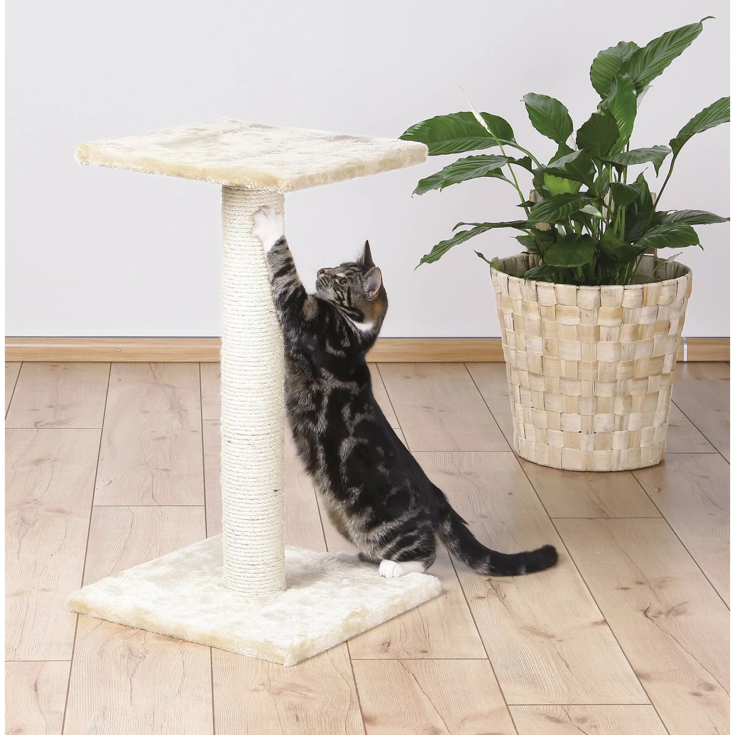 TRIXIE Espejo 27.2-in Fleece Cat Scratching Post 1 TRIXIE Espejo 27.2-in Fleece Cat Scratching Post