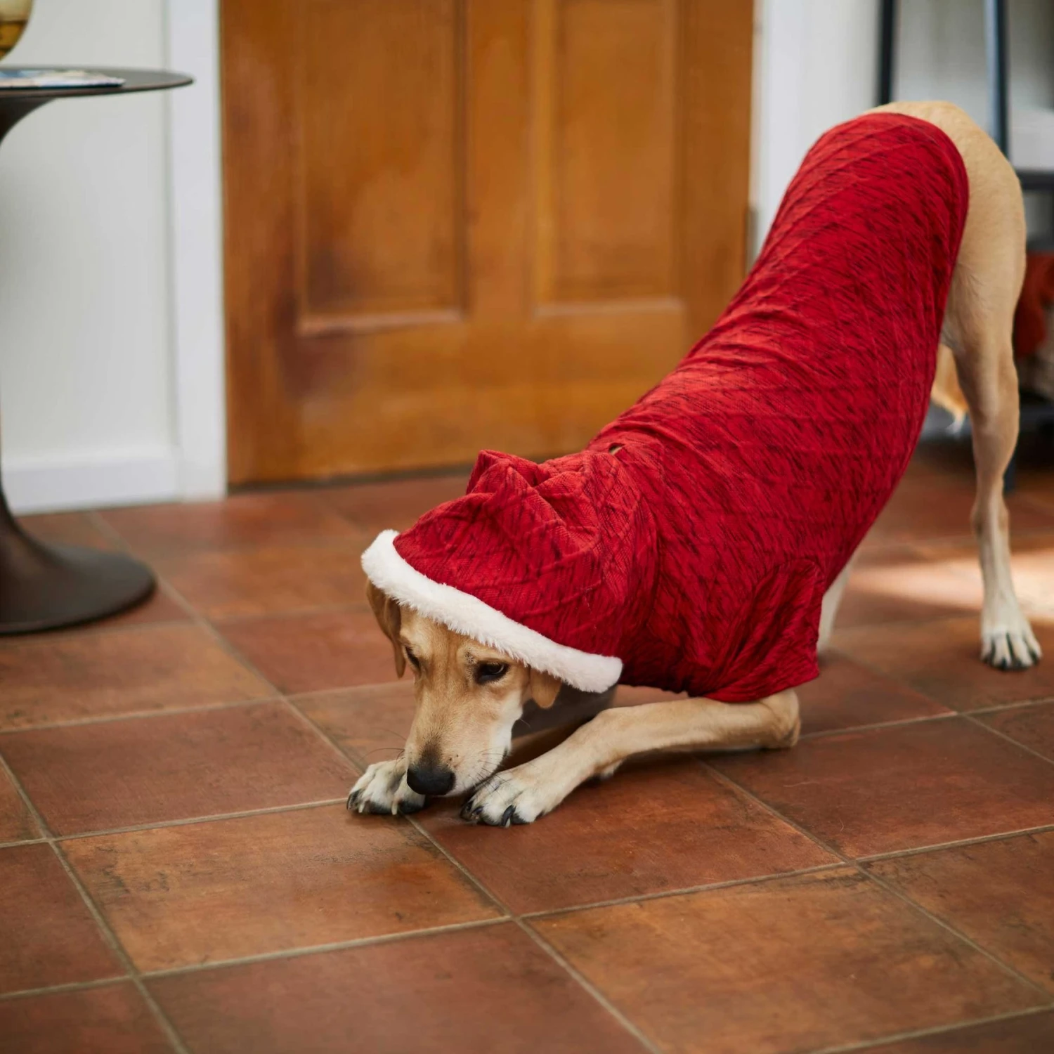 Frisco Textured Knit Dog & Cat Hoodie 7 Frisco Textured Knit Dog & Cat Hoodie - Image 7