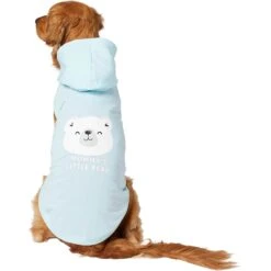 Frisco Mommy's Little Bear Dog & Cat Hoodie 10 Frisco Mommy's Little Bear Dog & Cat Hoodie -Pet Cat Supplies Store 224272 PT2. AC SS1800 V1637691116