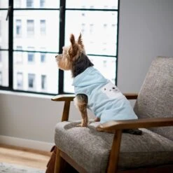 Frisco Mommy's Little Bear Dog & Cat Hoodie 15 Frisco Mommy's Little Bear Dog & Cat Hoodie -Pet Cat Supplies Store 224272 PT7. AC SS1800 V1599924073