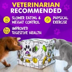 Cat Amazing Sliders Interactive Treat Maze & Puzzle Cat Toy -Pet Cat Supplies Store 225050 PT4. AC SS1800 V1583528890