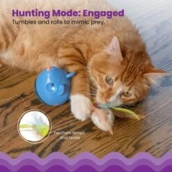 Catstages Hunt 'N Swat Treat Dispenser Cat Toy -Pet Cat Supplies Store 227094 PT2. AC SS1800 V1636504086