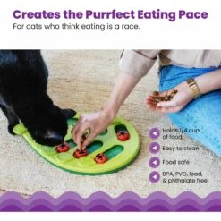 Nina Ottosson By Outward Hound Buggin' Out Puzzle & Play Cat Toy 12 Nina Ottosson By Outward Hound Buggin' Out Puzzle & Play Cat Toy -Pet Cat Supplies Store 227098 PT3. AC SS1800 V1636511821