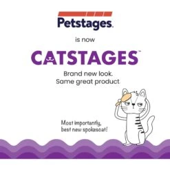 Nina Ottosson By Outward Hound Buggin' Out Puzzle & Play Cat Toy 15 Nina Ottosson By Outward Hound Buggin' Out Puzzle & Play Cat Toy -Pet Cat Supplies Store 227098 PT6. AC SS1800 V1636522300