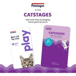 Nina Ottosson By Outward Hound Buggin' Out Puzzle & Play Cat Toy 16 Nina Ottosson By Outward Hound Buggin' Out Puzzle & Play Cat Toy -Pet Cat Supplies Store 227098 PT7. AC SS1800 V1682521186