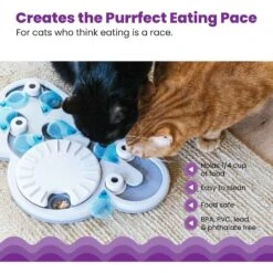 Nina Ottosson By Outward Hound Rainy Day Puzzle & Play Cat Toy -Pet Cat Supplies Store 227102 PT3. AC SS1800 V1636513619