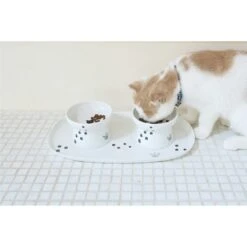 Necoichi Double Dining Tray Set & Elevated Cat Bowls 14 Necoichi Double Dining Tray Set & Elevated Cat Bowls -Pet Cat Supplies Store 230660 PT5. AC SS1800 V1631312470