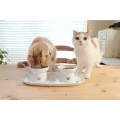Necoichi Double Dining Tray Set & Elevated Cat Bowls 15 Necoichi Double Dining Tray Set & Elevated Cat Bowls -Pet Cat Supplies Store 230660 PT6. AC SS1800 V1631311878