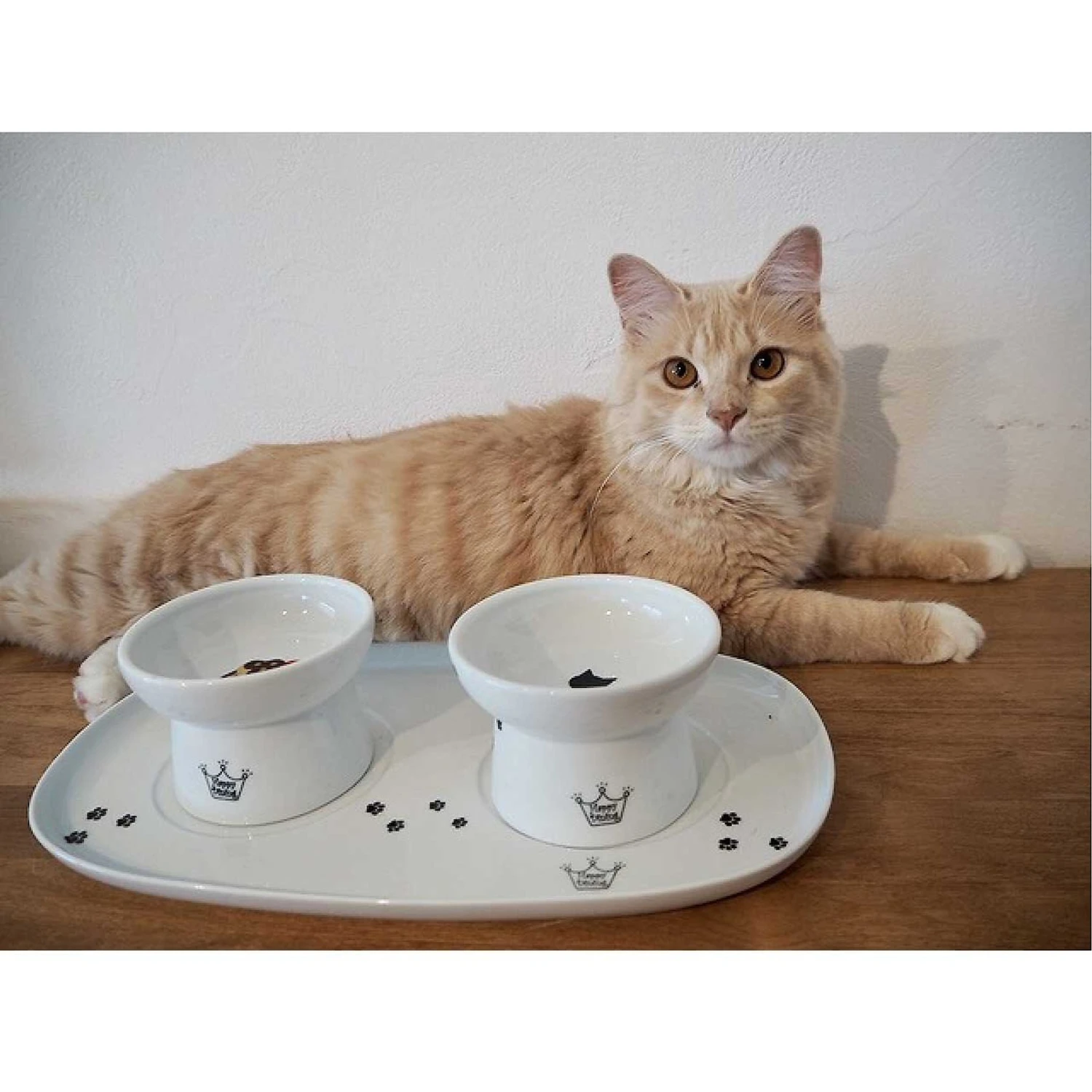 Necoichi Double Dining Tray Set & Elevated Cat Bowls 9 Necoichi Double Dining Tray Set & Elevated Cat Bowls - Image 9