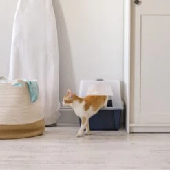 IRIS USA Enclosed With Front Door Flap & Scoop Cat Litter Box -Pet Cat Supplies Store 231660 PT6. AC SS1800 V1680812032