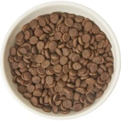 Frisco Double-Sided Ceramic Elevated Cat Bowl 9 Frisco Double-Sided Ceramic Elevated Cat Bowl -Pet Cat Supplies Store 232081 PT3. AC SS1800 V1605145964