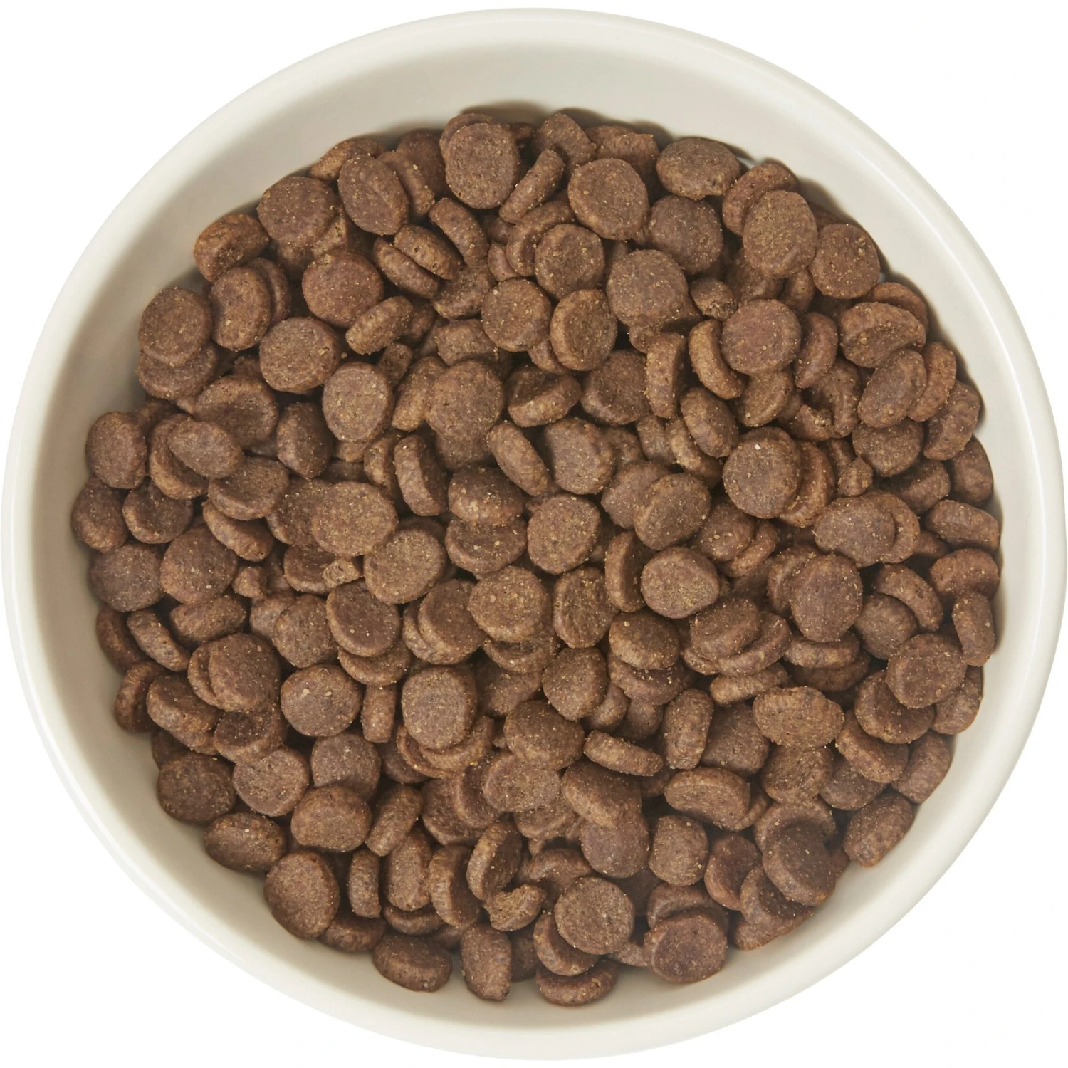 Frisco Double-Sided Ceramic Elevated Cat Bowl 4 Frisco Double-Sided Ceramic Elevated Cat Bowl - Image 4