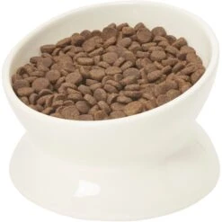 Frisco Double-Sided Ceramic Elevated Cat Bowl 10 Frisco Double-Sided Ceramic Elevated Cat Bowl -Pet Cat Supplies Store 232081 PT6. AC SS1800 V1684760471