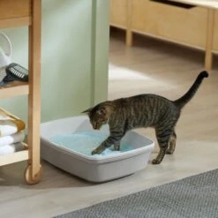 Frisco Micro Crystal Unscented Non-Clumping Crystal Cat Litter -Pet Cat Supplies Store 232121 PT4. AC SS1800 V1659546416