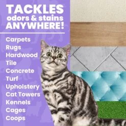 Unique Pet Care Sweet Tangerine Cat Odor + Stain Remover, 24-oz Bottle 11 Unique Pet Care Sweet Tangerine Cat Odor + Stain Remover, 24-oz Bottle -Pet Cat Supplies Store 232913 PT2. AC SS1800 V1700689208