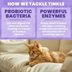 Unique Pet Care Sweet Tangerine Cat Odor + Stain Remover, 24-oz Bottle 13 Unique Pet Care Sweet Tangerine Cat Odor + Stain Remover, 24-oz Bottle -Pet Cat Supplies Store 232913 PT4. AC SS1800 V1700689728