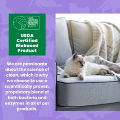 Unique Pet Care Sweet Tangerine Cat Odor + Stain Remover, 24-oz Bottle 15 Unique Pet Care Sweet Tangerine Cat Odor + Stain Remover, 24-oz Bottle -Pet Cat Supplies Store 232913 PT6. AC SS1800 V1700689359