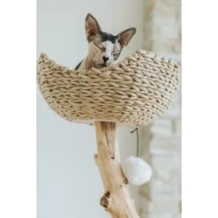 Mau Lifestyle Uni 41-in Faux Fur Basket Bed Cat Tree 14 Mau Lifestyle Uni 41-in Faux Fur Basket Bed Cat Tree -Pet Cat Supplies Store 235558 PT5. AC SS1800 V1632780171