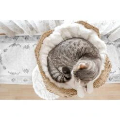 Mau Lifestyle Uni 41-in Faux Fur Basket Bed Cat Tree 16 Mau Lifestyle Uni 41-in Faux Fur Basket Bed Cat Tree -Pet Cat Supplies Store 235558 PT7. AC SS1800 V1632781669