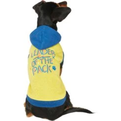 Frisco Leader Of The Pack Dog & Cat Hoodie 9 Frisco Leader Of The Pack Dog & Cat Hoodie -Pet Cat Supplies Store 248905 PT2. AC SS1800 V1637686650