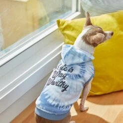 Frisco Life Is Wag Worthy Tiedye Print Dog & Cat Hoodie -Pet Cat Supplies Store 249094 PT7. AC SS1800 V1614362017