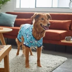 Frisco Happy Shark Dog & Cat Jersey PJs 11 Frisco Happy Shark Dog & Cat Jersey PJs -Pet Cat Supplies Store 249122 PT7. AC SS1800 V1614276183
