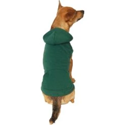 Frisco Dog & Cat Basic Hoodie -Pet Cat Supplies Store 249154 PT2. AC SS1800 V1633073480