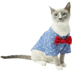 Frisco Polka Dot Chambray Dog & Cat Button Up Shirt 10 Frisco Polka Dot Chambray Dog & Cat Button Up Shirt -Pet Cat Supplies Store 249162 PT2. AC SS1800 V1614202882