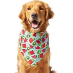 Frisco Fruity Summer Dog & Cat Bandana -Pet Cat Supplies Store 249204 PT2. AC SS1800 V1637644629