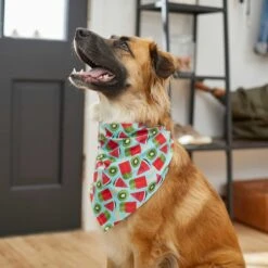 Frisco Fruity Summer Dog & Cat Bandana -Pet Cat Supplies Store 249204 PT4. AC SS1800 V1637668676