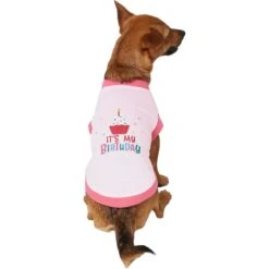 Frisco It's My Birthday Dog & Cat T-Shirt, Pink -Pet Cat Supplies Store 249255 PT2. AC SS1800 V1624608150