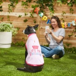 Frisco It's My Birthday Dog & Cat T-Shirt, Pink -Pet Cat Supplies Store 249255 PT7. AC SS1800 V1614289423
