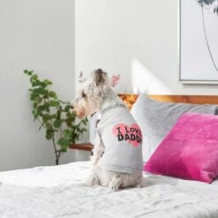 Frisco I Love Daddy Dog & Cat T-Shirt, Gray -Pet Cat Supplies Store 249263 PT5. AC SS1800 V1624592867