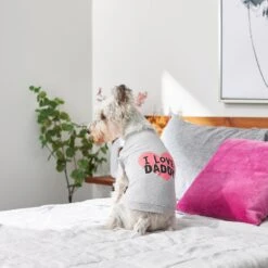 Frisco I Love Daddy Dog & Cat T-Shirt, Gray -Pet Cat Supplies Store 249263 PT7. AC SS1800 V1614284197