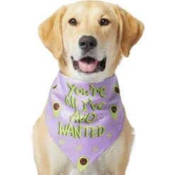 Frisco You're All I've Avo Wanted Dog & Cat Bandana -Pet Cat Supplies Store 249292 PT2. AC SS1800 V1637723806