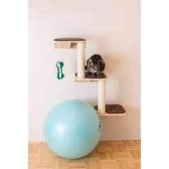 Armarkat Real Wood Cat Step -Pet Cat Supplies Store 251434 PT4. AC SS1800 V1599270991