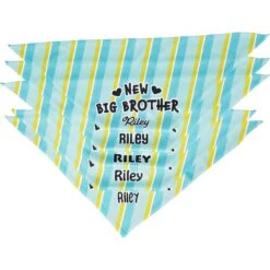 Frisco Big Brother Personalized Dog & Cat Bandana 13 Frisco Big Brother Personalized Dog & Cat Bandana -Pet Cat Supplies Store 254231 PT4. AC SS1800 V1633065997
