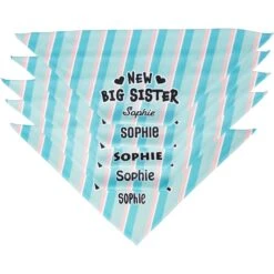 Frisco Big Sister Personalized Dog & Cat Bandana 13 Frisco Big Sister Personalized Dog & Cat Bandana -Pet Cat Supplies Store 254235 PT4. AC SS1800 V1619558530