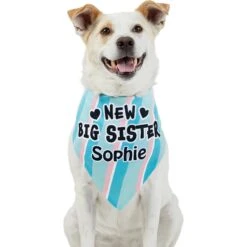 Frisco Big Sister Personalized Dog & Cat Bandana 15 Frisco Big Sister Personalized Dog & Cat Bandana -Pet Cat Supplies Store 254235 PT6. AC SS1800 V1619558258