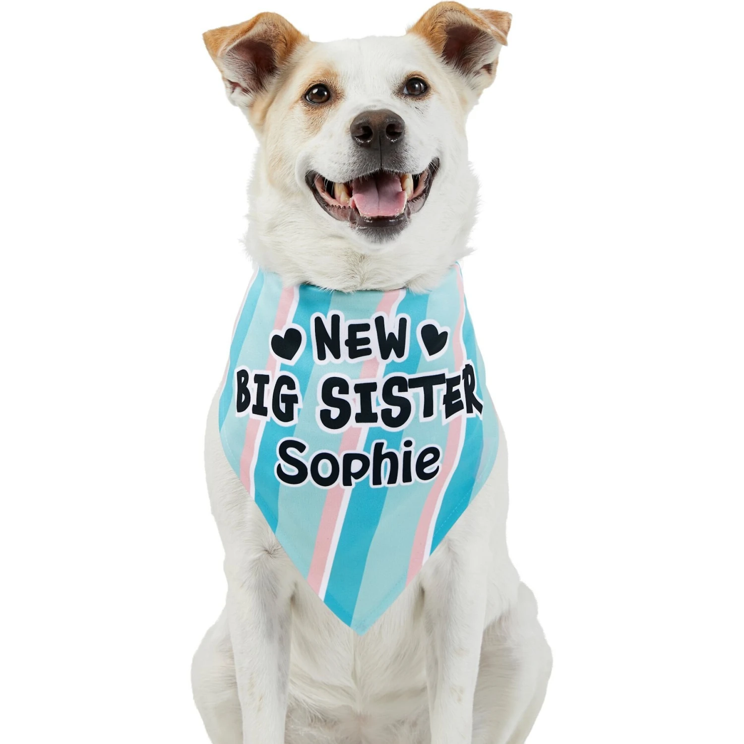 Frisco Big Sister Personalized Dog & Cat Bandana 7 Frisco Big Sister Personalized Dog & Cat Bandana - Image 7