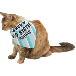 Frisco Big Sister Personalized Dog & Cat Bandana 16 Frisco Big Sister Personalized Dog & Cat Bandana -Pet Cat Supplies Store 254235 PT7. AC SS1800 V1619560404
