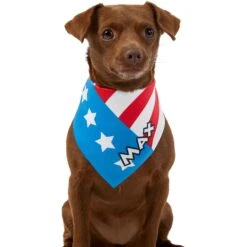 Frisco Americana Personalized Dog & Cat Bandana -Pet Cat Supplies Store 254239 PT6. AC SS1800 V1619558231