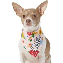 Frisco Floral Personalized Dog & Cat Bandana 15 Frisco Floral Personalized Dog & Cat Bandana -Pet Cat Supplies Store 254255 PT6. AC SS1800 V1618507356