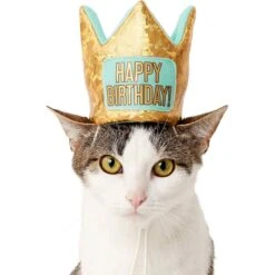 Frisco Happy Birthday Dog & Cat Crown & Frisco Dog & Cat Birthday Bandana -Pet Cat Supplies Store 255523 PT2. AC SS1800 V1603716120