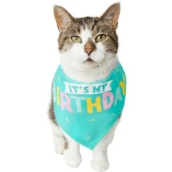 Frisco Happy Birthday Dog & Cat Crown & Frisco Dog & Cat Birthday Bandana -Pet Cat Supplies Store 255523 PT4. AC SS1800 V1603716120