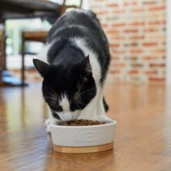 Frisco Oval Meow Non-skid Ceramic Cat Bowl With Wood Base 8 Frisco Oval Meow Non-skid Ceramic Cat Bowl With Wood Base -Pet Cat Supplies Store 256080 PT2. AC SS1800 V1615310782