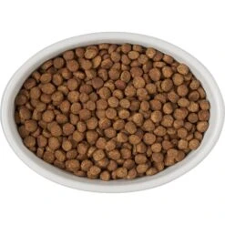 Frisco Oval Meow Non-skid Ceramic Cat Bowl With Wood Base 11 Frisco Oval Meow Non-skid Ceramic Cat Bowl With Wood Base -Pet Cat Supplies Store 256080 PT5. AC SS1800 V1615312016